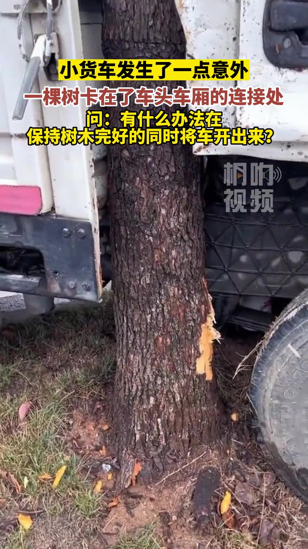 告诉我你是怎么开进去的