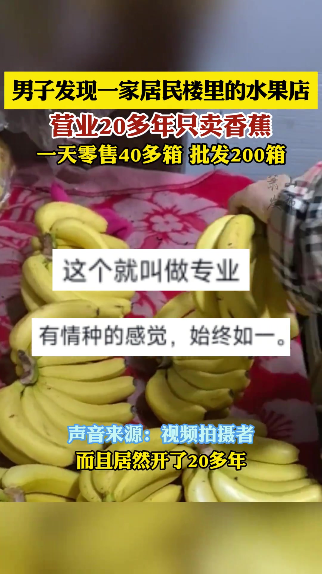 这哪是水果店，这是香蕉专卖店！