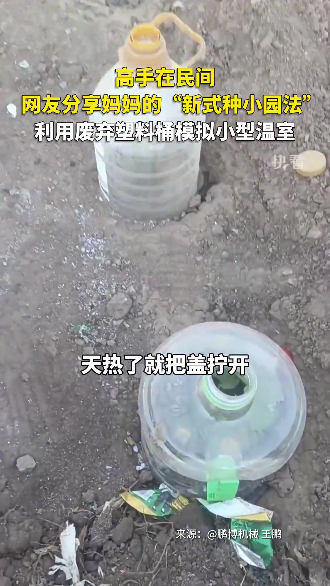 高手在民间！网友分享妈妈的“新式种小园法