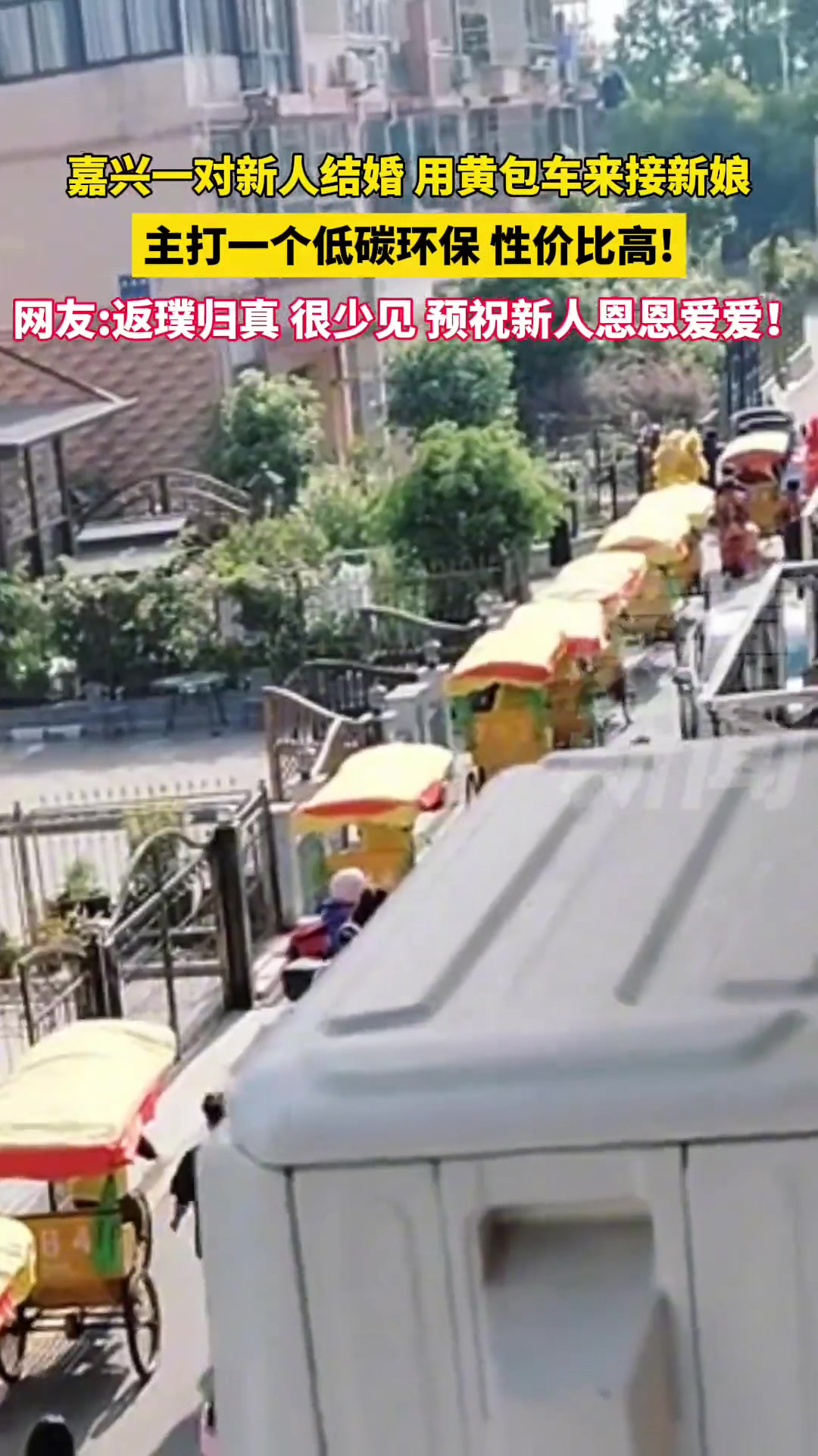 嘉兴一对新人结婚用黄包车来接新娘，主打一个低碳环保