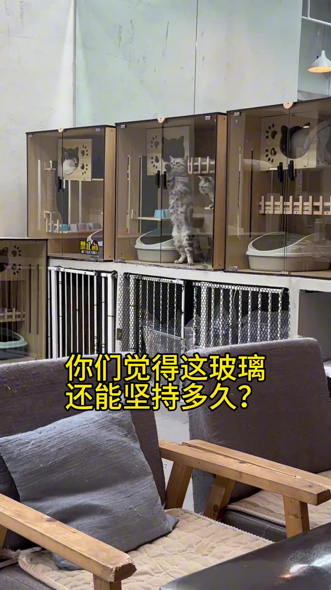 这玻璃还能坚持多久