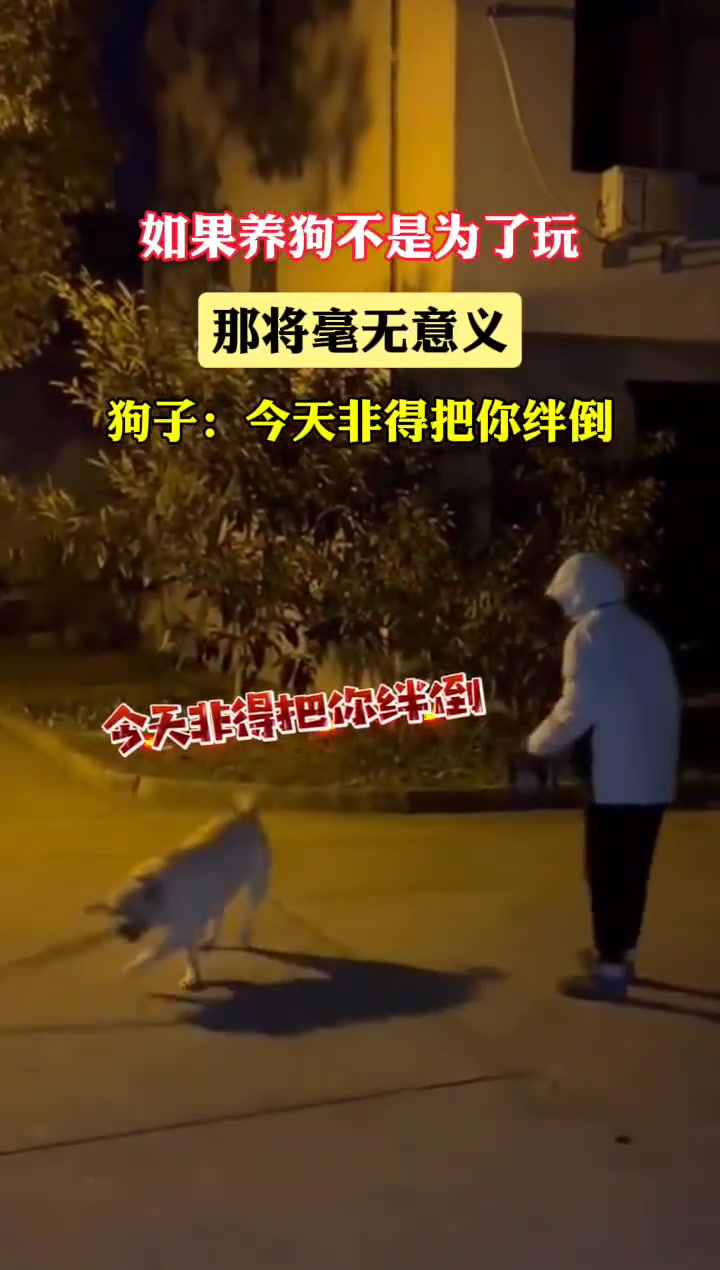 狗子：看我扫堂棍
