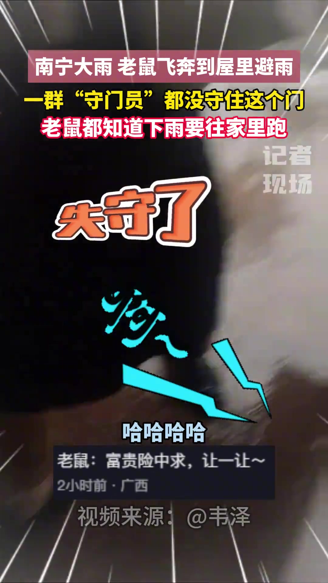 突降大雨老鼠奔屋里避雨，一群“守门员”都没守住门~