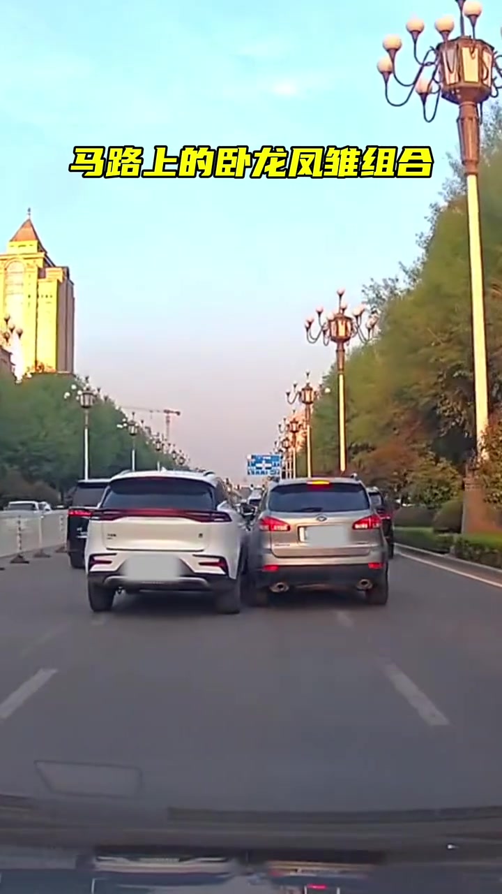 马路上的卧龙凤雏组合！