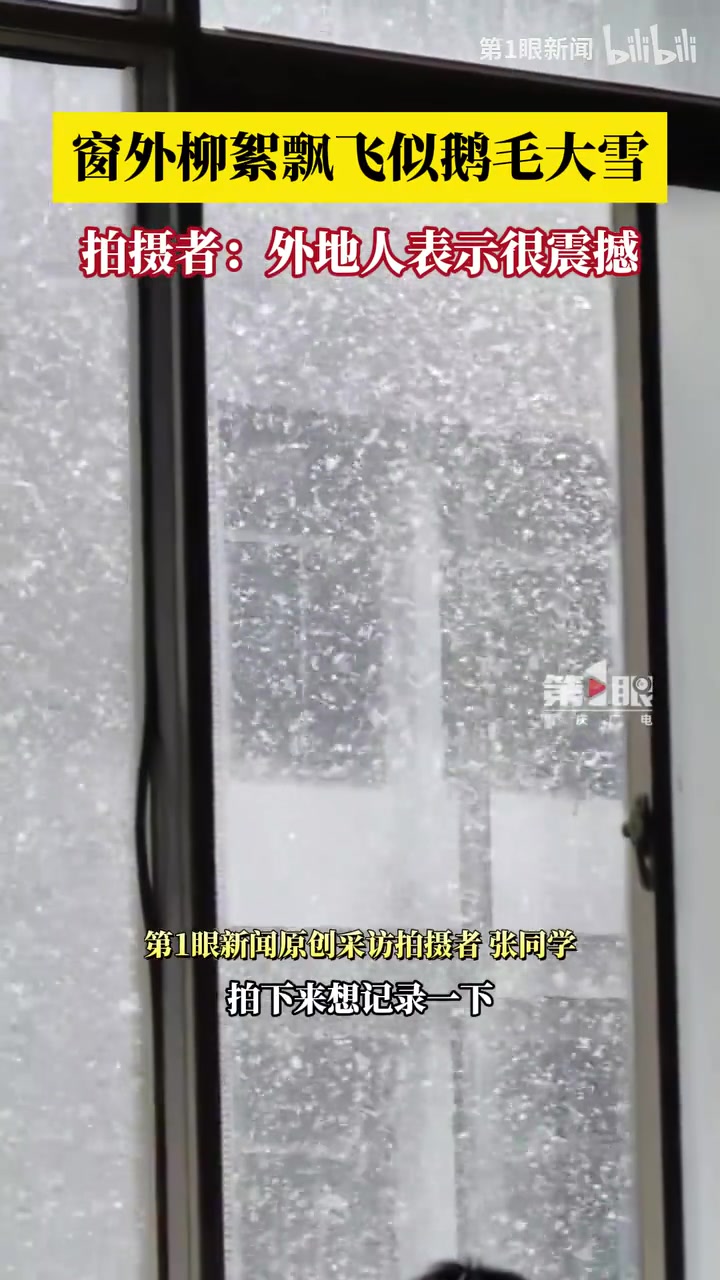 终于懂了“未若柳絮因风起”，南方有自己的雪