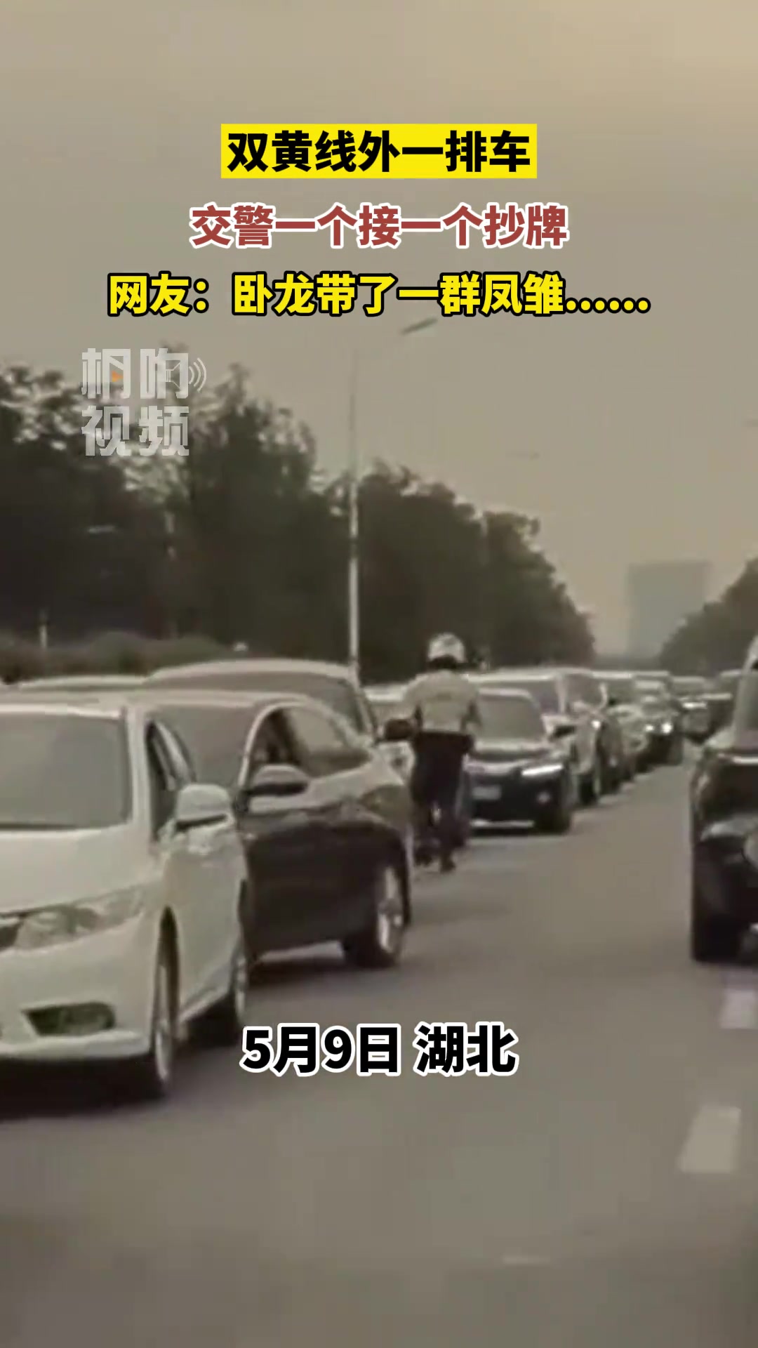 卧龙带一群凤雏 双黄线外一排车，交警一个接一个抄牌