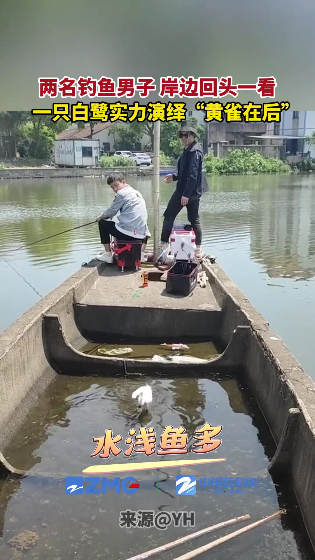 什么叫“螳螂捕蝉 黄雀在后” ！