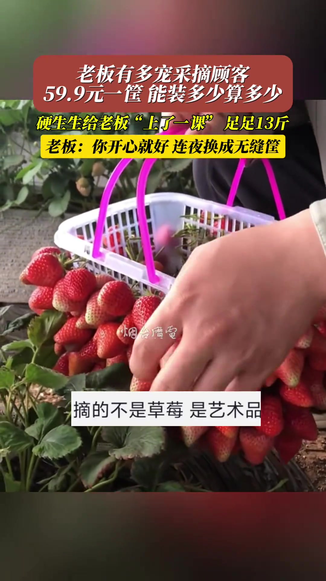 59.9一筐草莓能装多少算多少 直接给老板“上了一课”