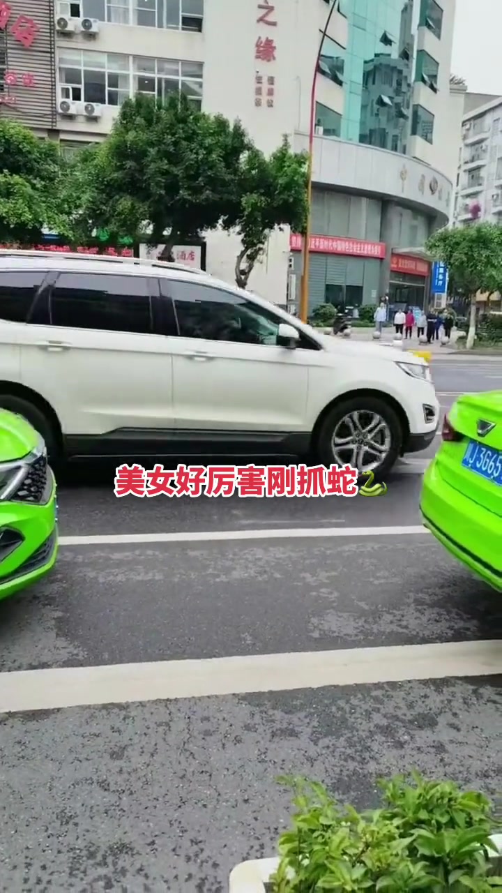 看到都吓人 美女好厉害还上去徒手捉蛇