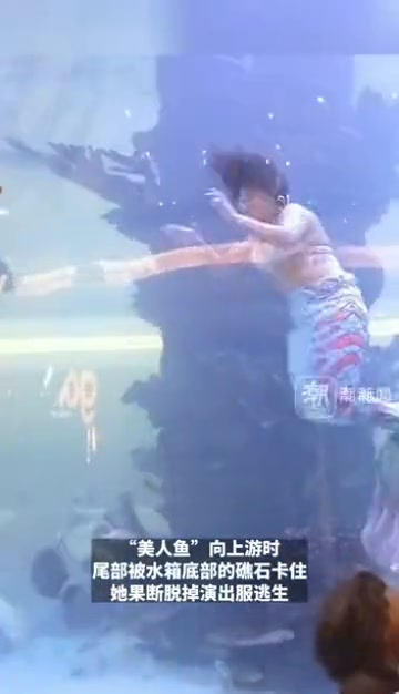 南非“美人鱼”表演时尾部被石头卡住不断挣扎
