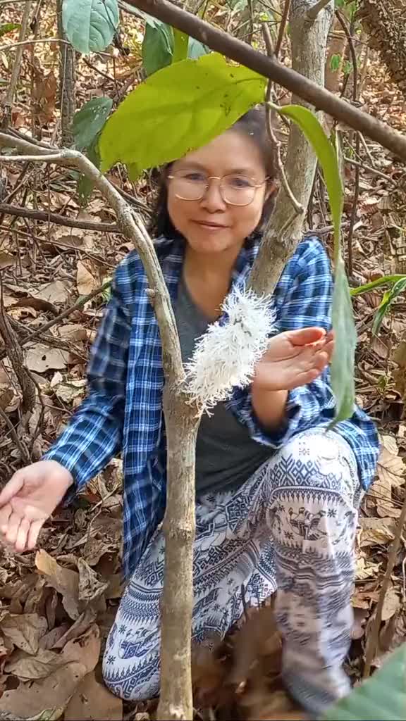 这是什么啊？有吧友知道吗？