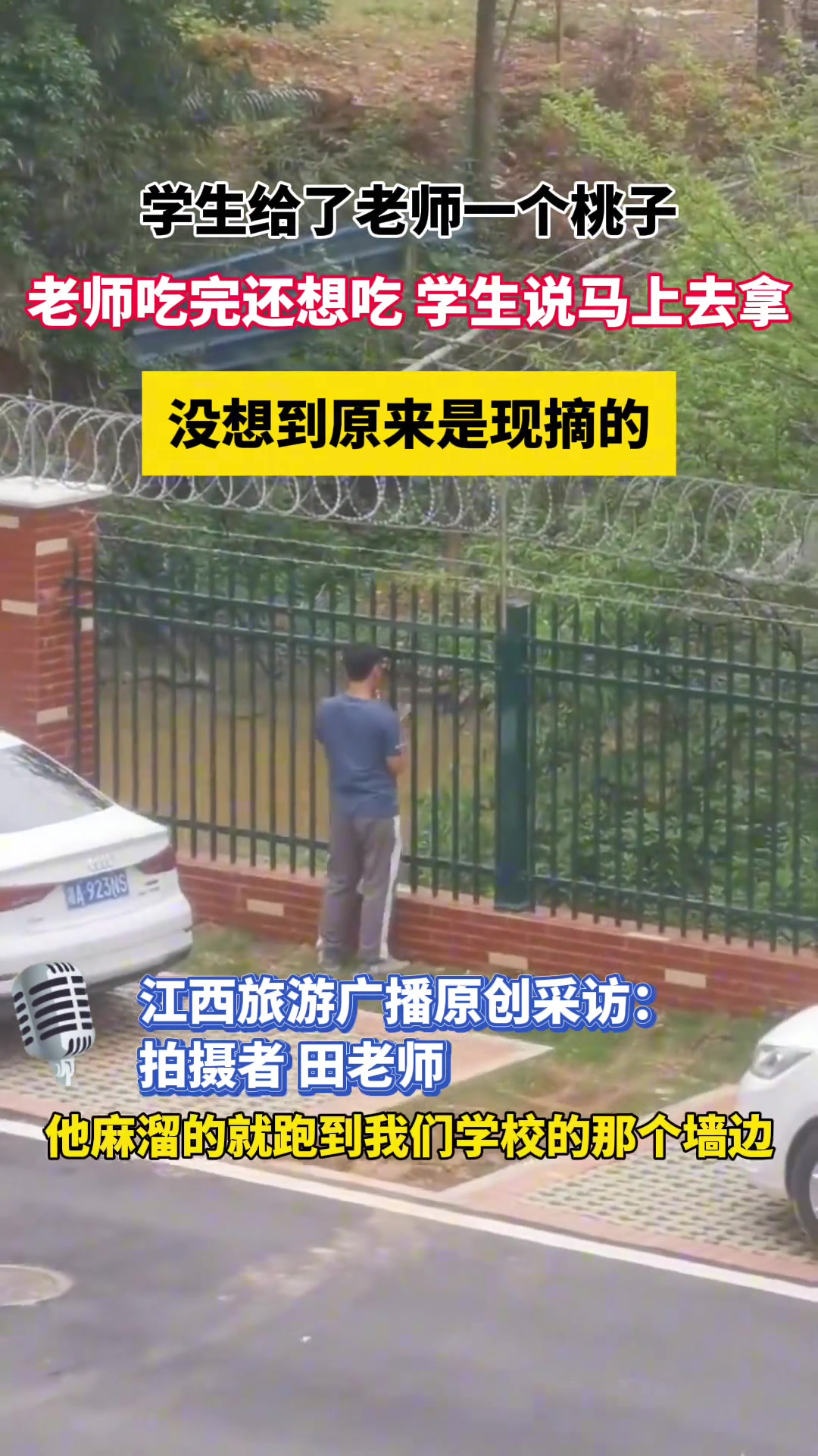 学生摘桃子送给老师 谁知这桃 大有来头