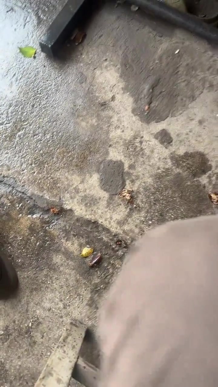 这坐一天都舍不得走了