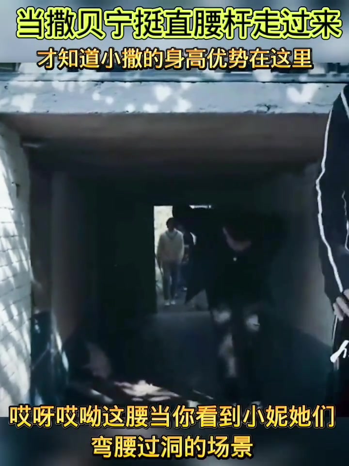 撒贝宁的身高优势原来在这里