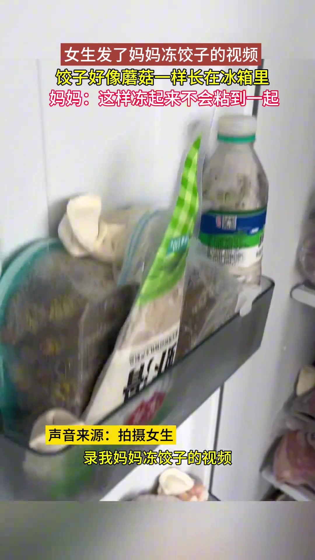 很聪明！这水饺集合了冰箱里所有的异味