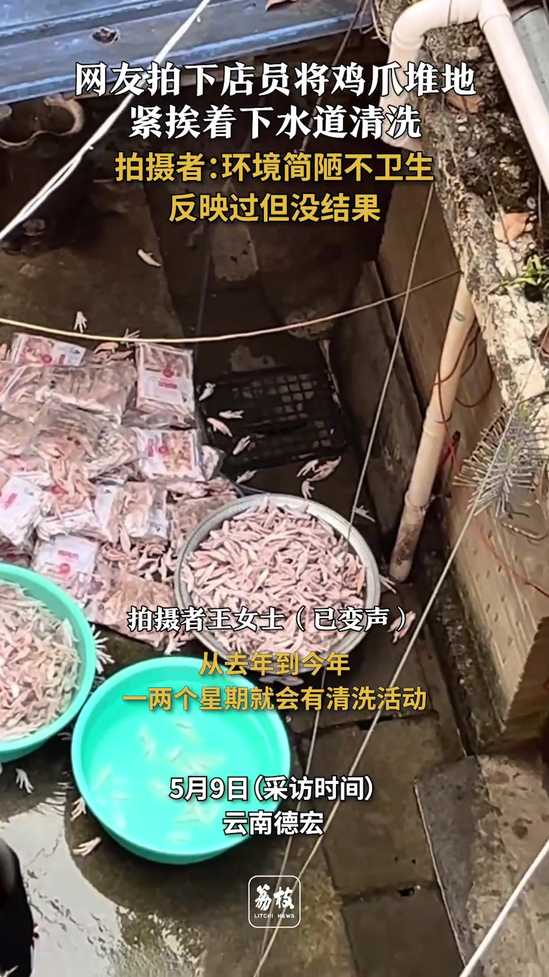 我家农村也这样杀鸡