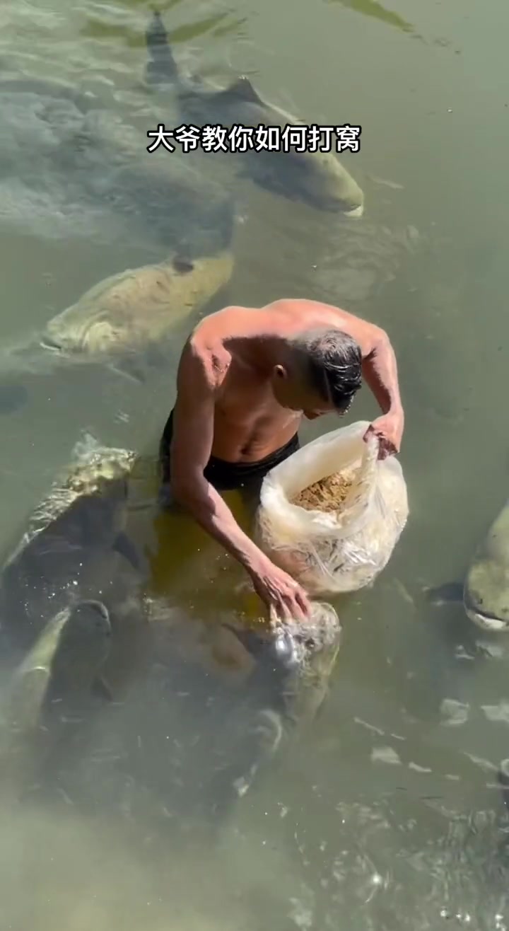 还得是大爷啊