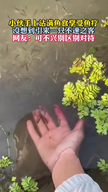 癞蛤蟆：咋的 种族歧视啊