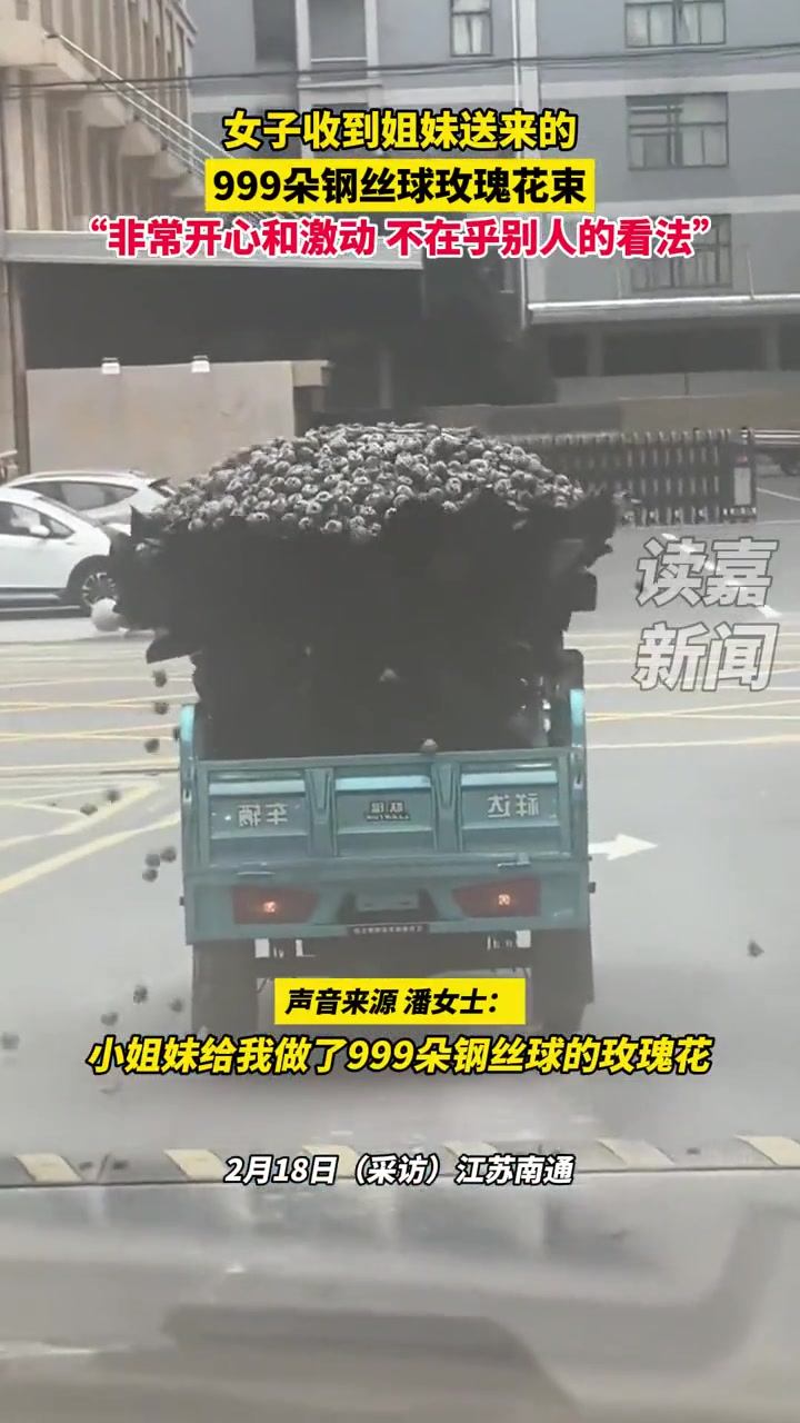 钢丝球花语：不是刷一辈子的黑锅嘛