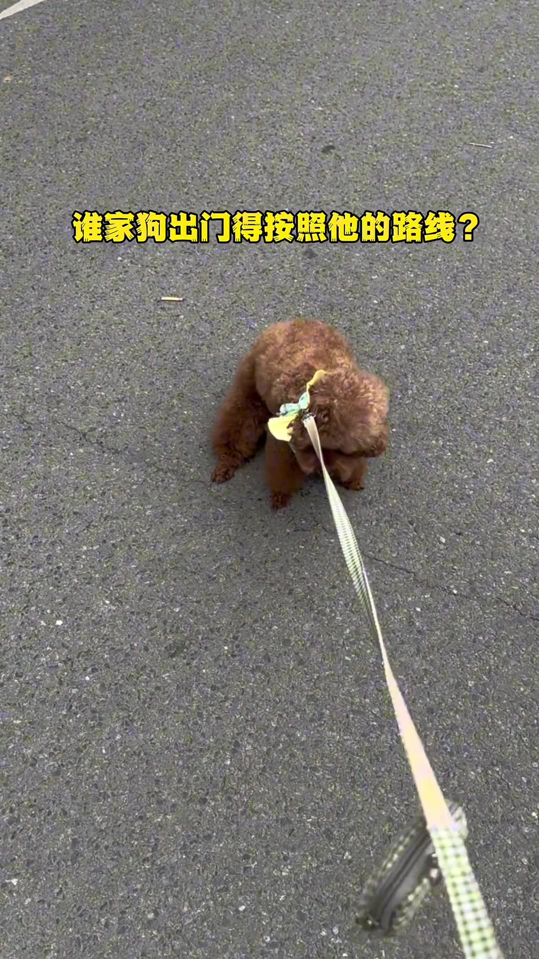 人家脑袋里都有自己的导航，玩不过他，