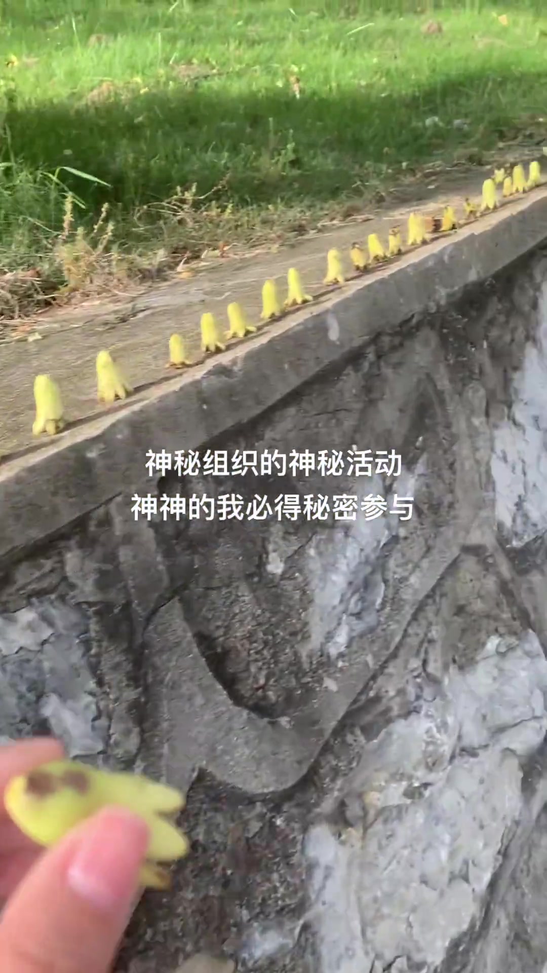 神奇神奇真神奇！都说了大学生是最有组织有纪律的