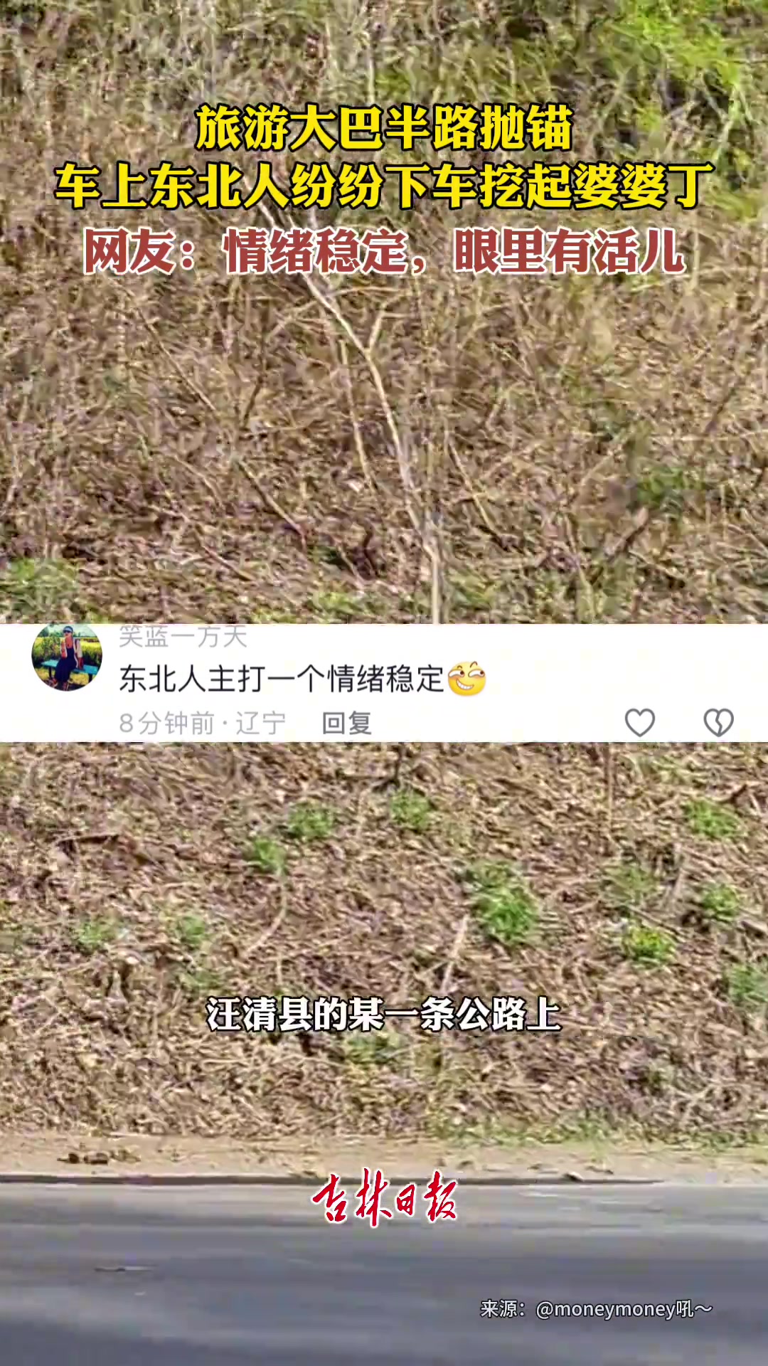 旅游大巴半路抛锚，车上东北人纷纷下车挖起婆婆丁