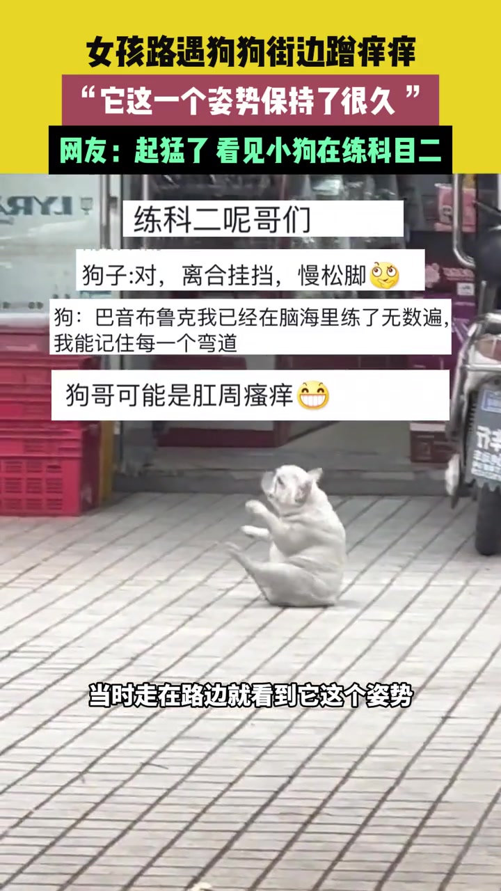 女孩路遇狗狗街边蹭痒痒，“它这一个姿势保持了很久