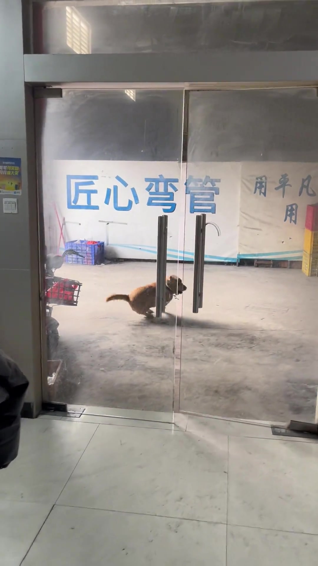本来想出去闯闯，回来却判若两狗
