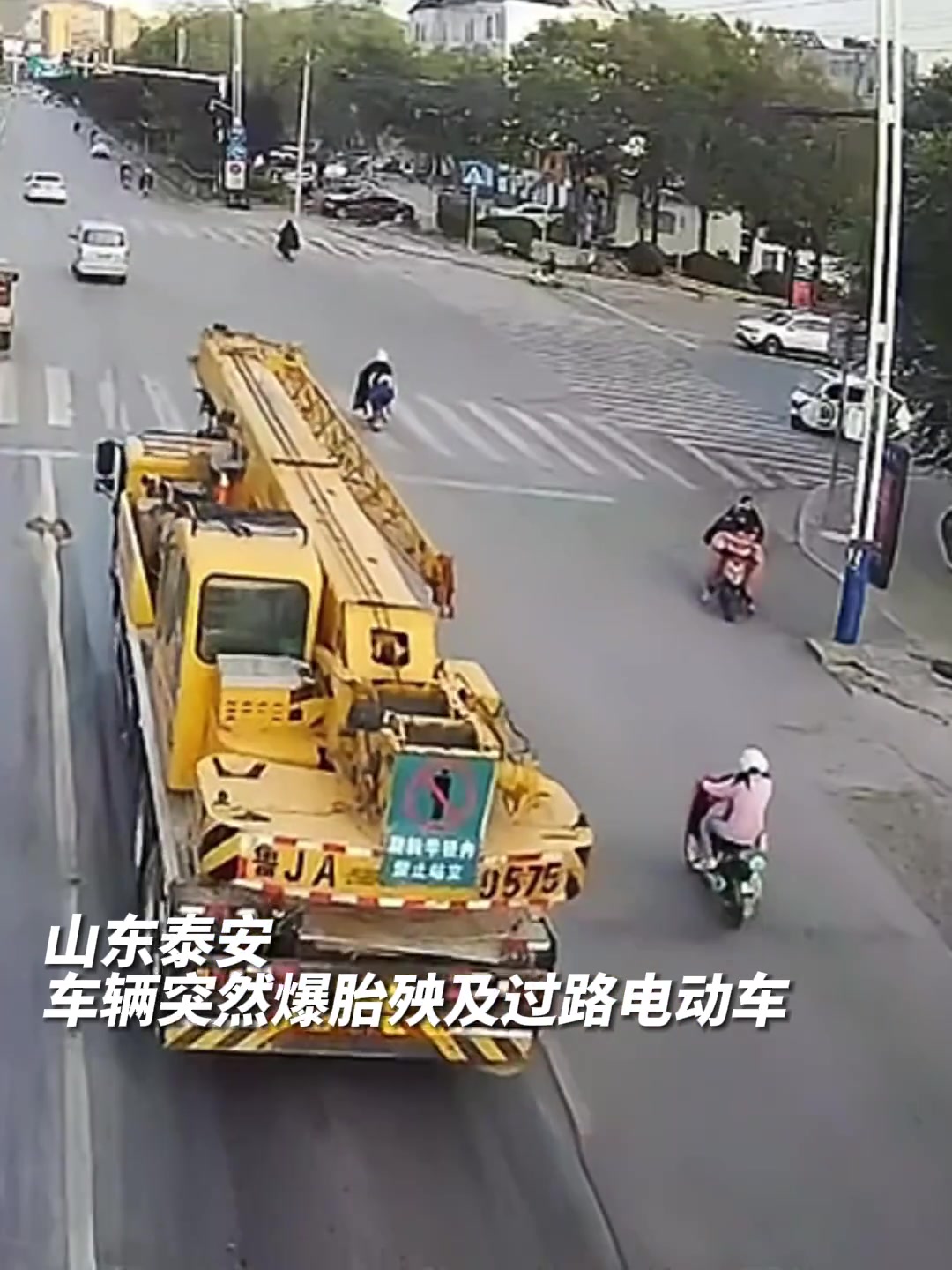 这样的相遇着实有些突然 !