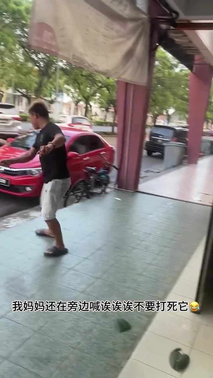 吓人，甩慢一点感觉都会被咬