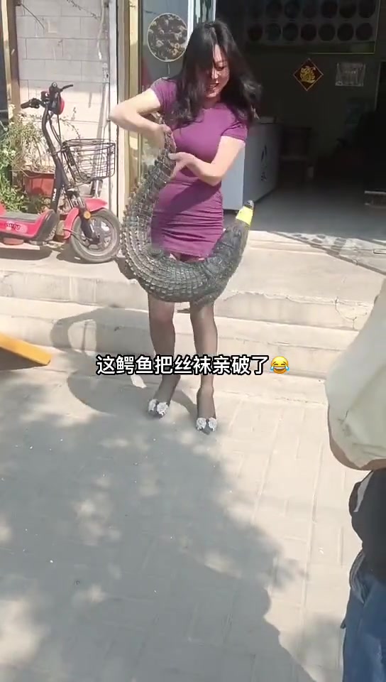 小姐姐胆子真大啊，竟然敢抓鳄鱼