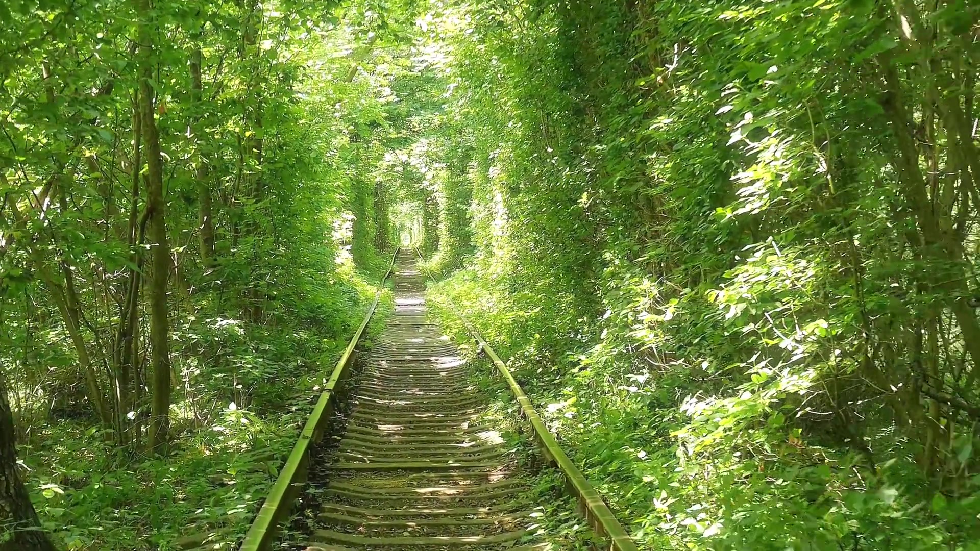 树欲静而风不止 治愈系风景！