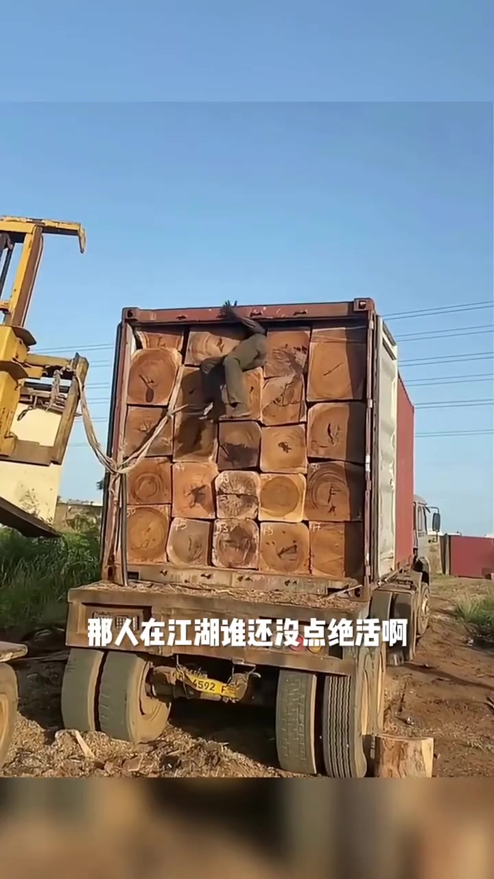 有洞就钻？这碰到颠簸路段我都不敢想