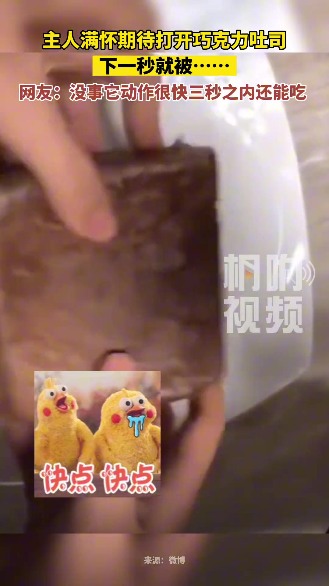 喵：我要想尽办法断了她吃屎的念头