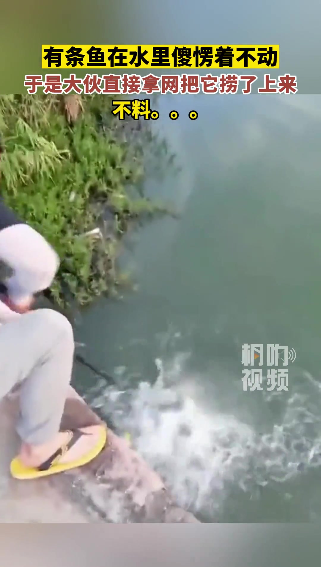 这比没捞到还难受呀