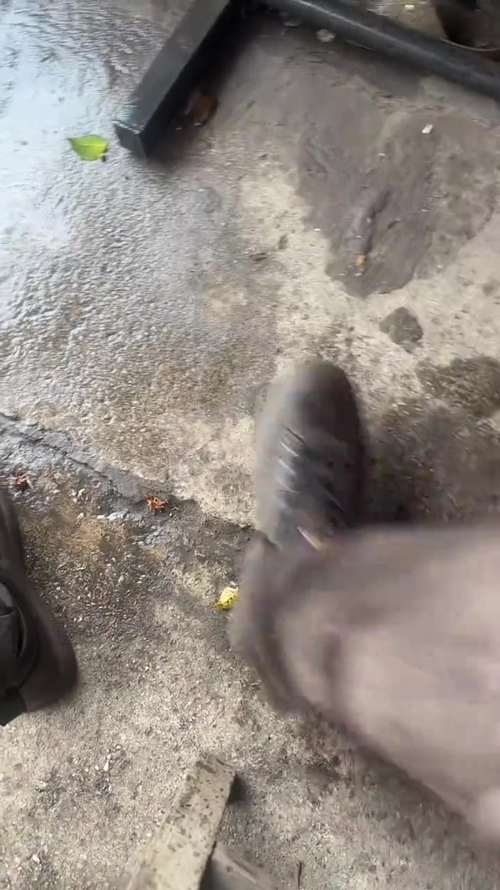 好家伙，堵在泉水杀是吧