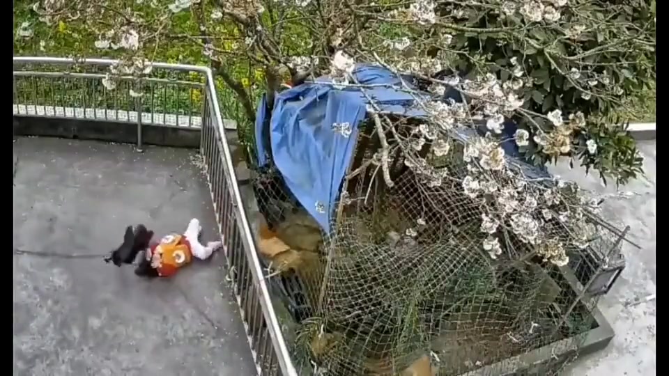 《转瞬即逝》