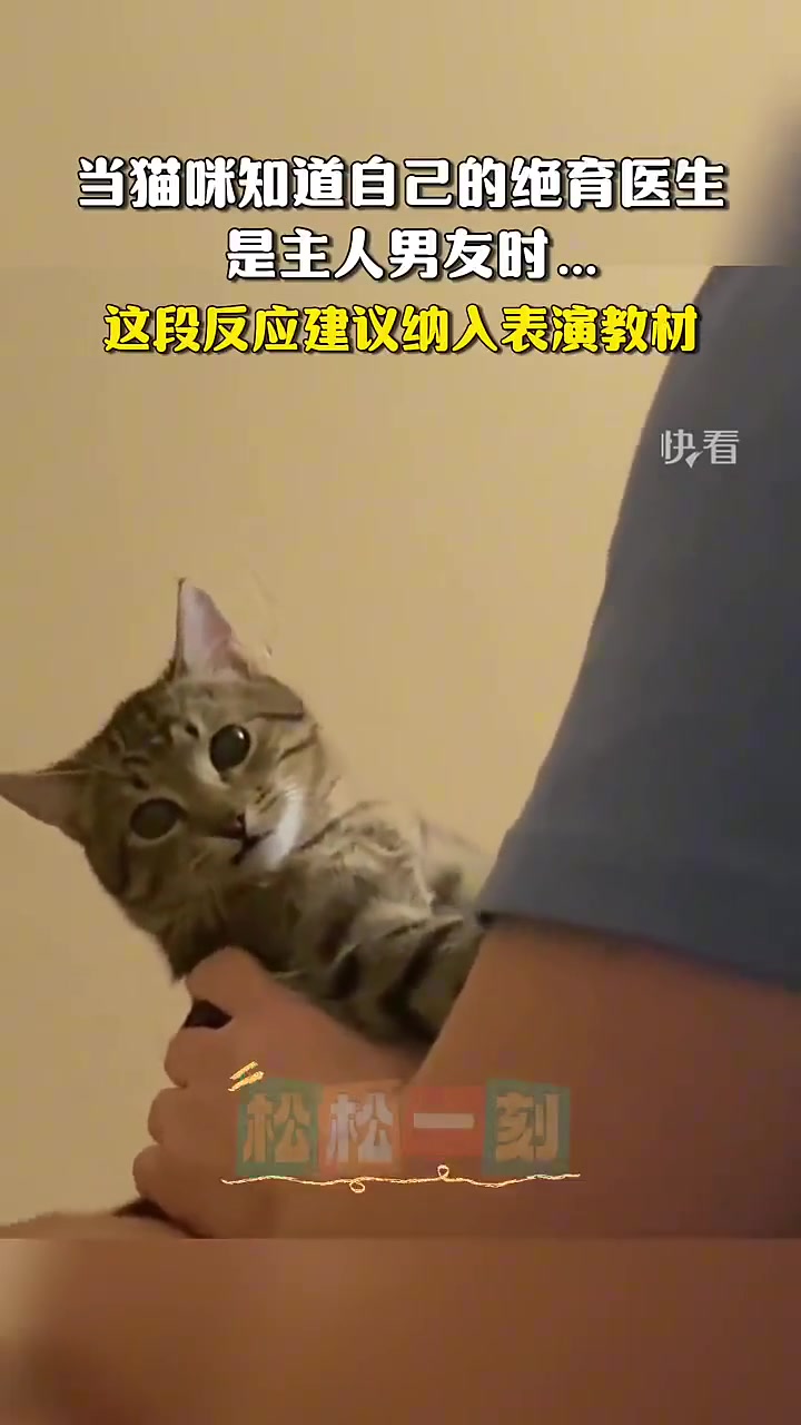 当猫咪知道自己的绝育医生是主人男友时…