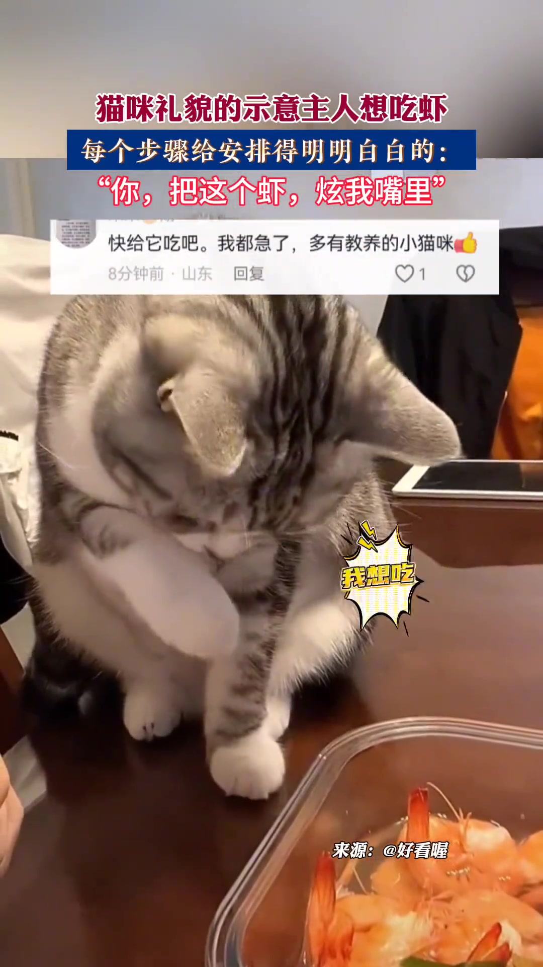 小猫咪还怪礼貌的，每个步骤给安排得明明白白的