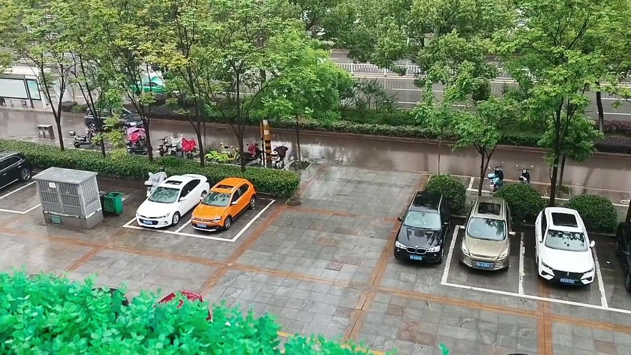 停个车，上演了一波斗智斗勇啊
