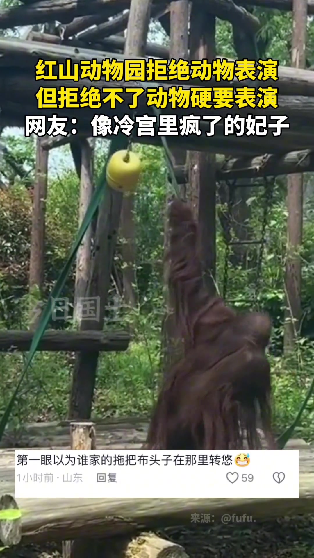 像极冷宫里疯了的妃子~