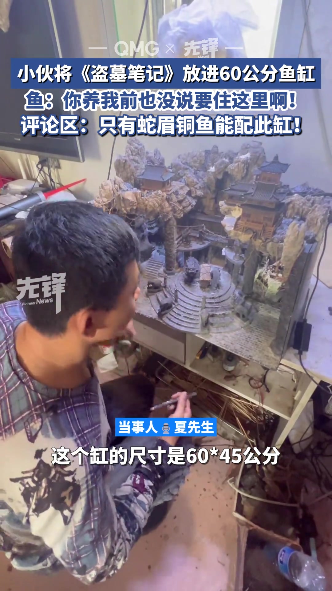 当我的鱼住进盗墓笔记地宫鱼缸！