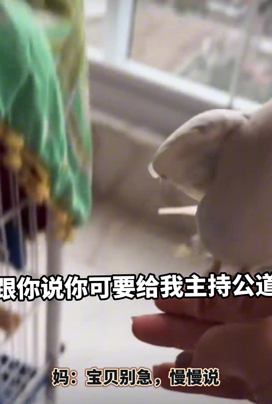 在外面受气了 来哄哄吧