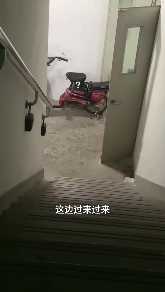坐着就把狗遛了