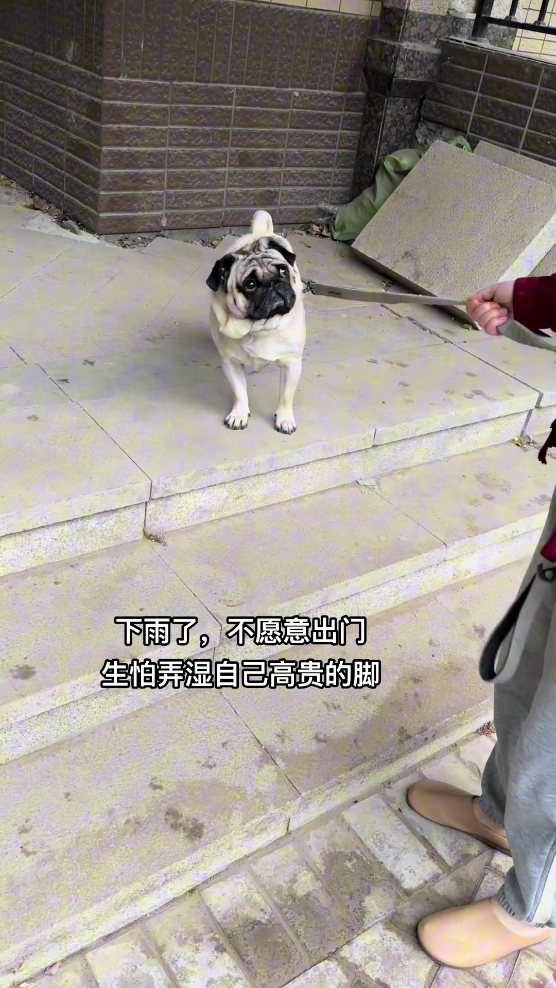 眼神充满倔强