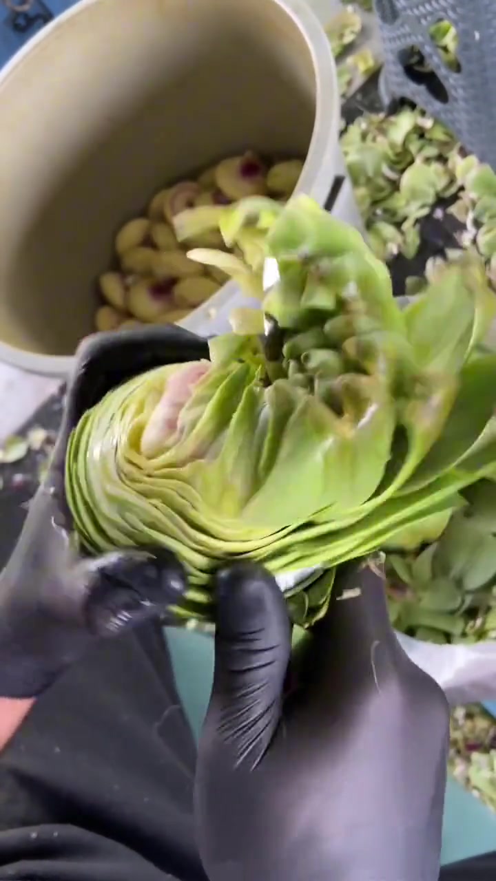 贵族菜，种一亩地才能炒一盘菜