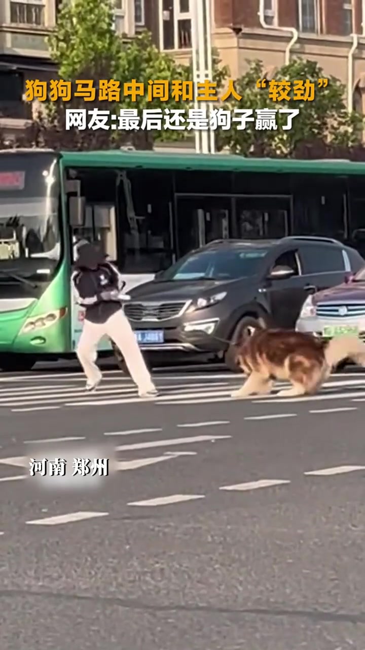 太尴尬了，最后还是狗子赢了