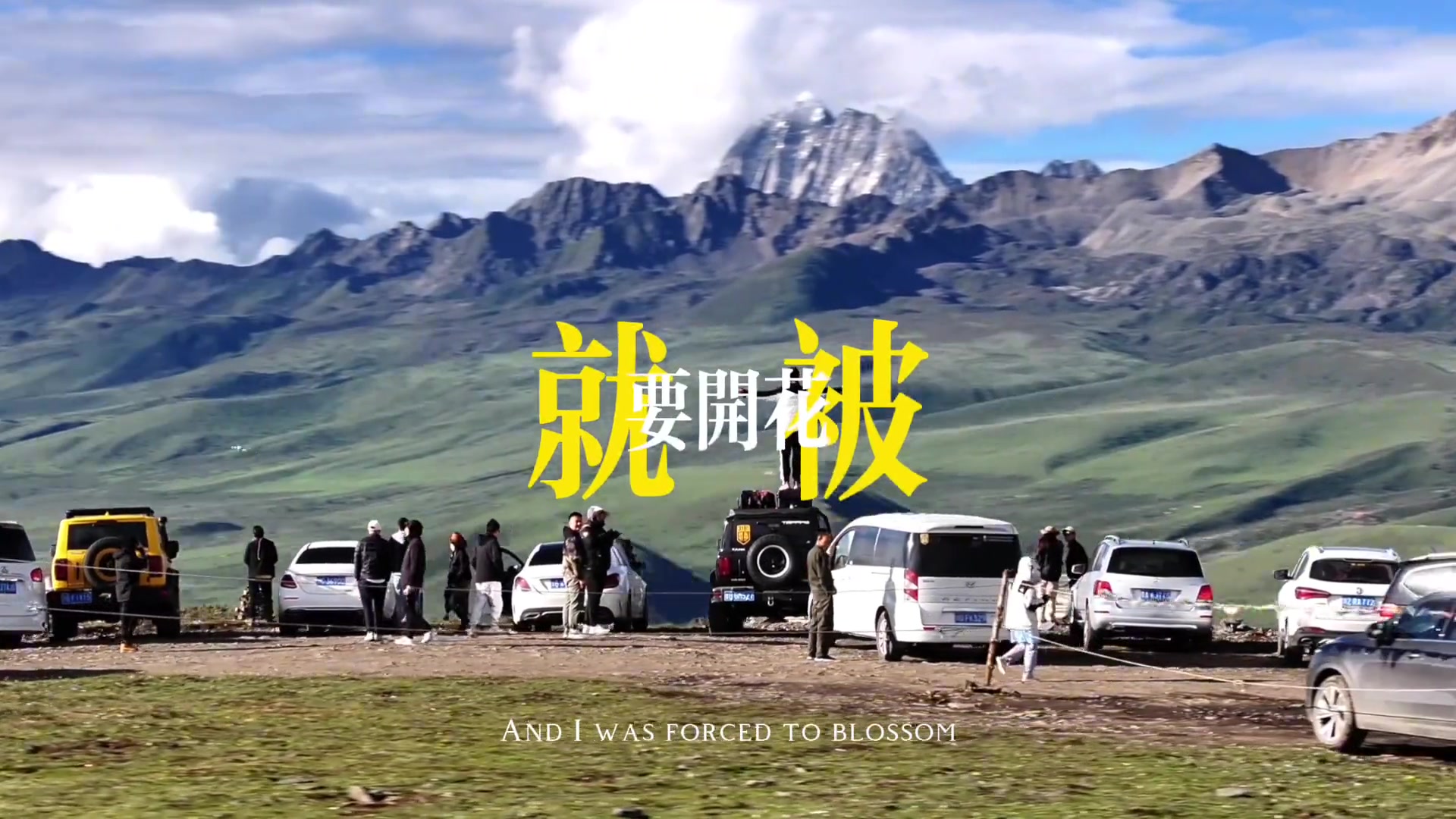 做自己的光 不需要多亮. 我的主旋律是自由 ！