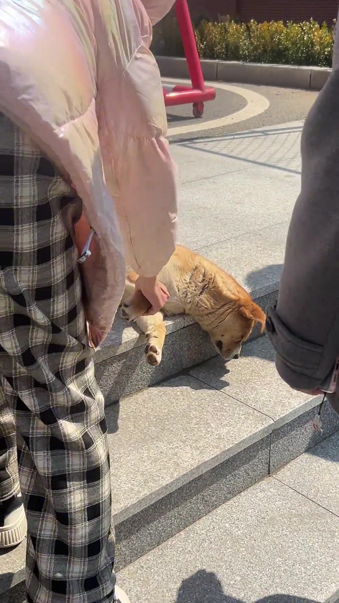 学长晚上绝对通宵了