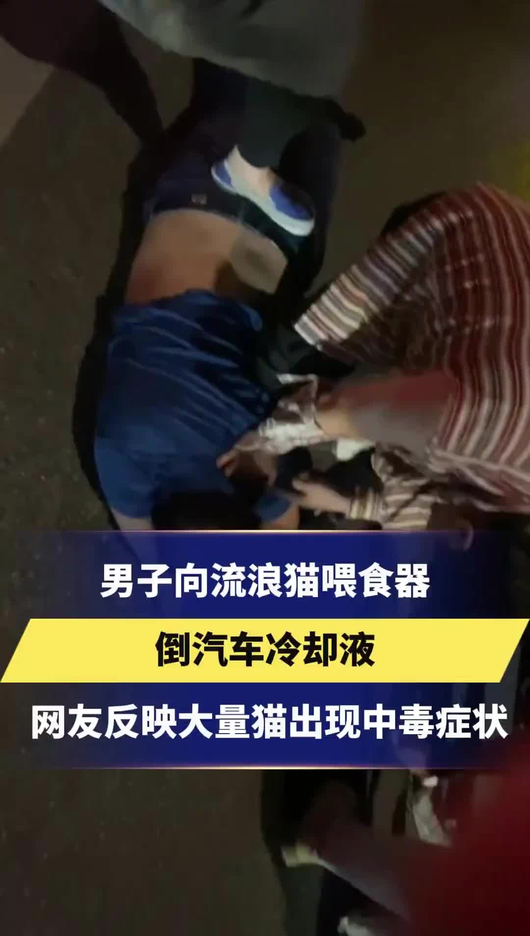 男子向流浪猫喂食器 倒汽车冷却液？